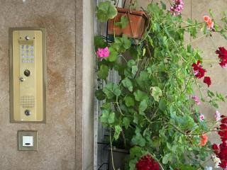 TROCADERO-TOUR EIFFEL-Champs Elysees - 1