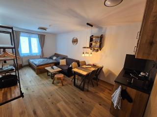 Apartmány Ski&Bike Siréna - Janské Lázně - 4