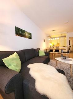 Winterberg Appartement 21117 - 6