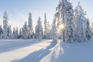 Livo Arctic Resort - Posio - 4