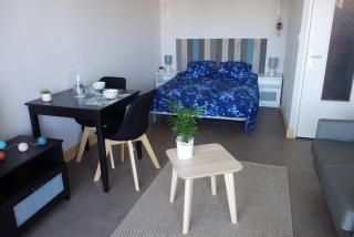 Appartement SUPERBE VUE MER avec balcon, WIFI, à TREGASTEL - Réf 93 - Trégastel - 7