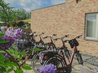 De Pluktuin - 4