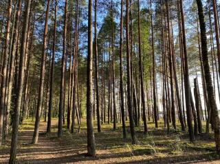 Cozy Family River View Flat Near The Beach Seaside - 2