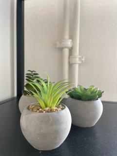 Großzügige Altstadt-Ferienwohnung "Willi" - 1