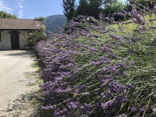 Grande maison familiale dans le massif des Bauges - Montcel - 8