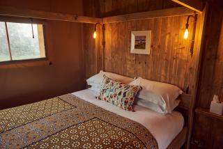 Tall Trees Glamping - 1