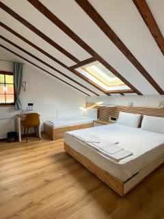 Villa Ksilifor - Veliko Tarnovo - 8