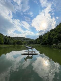 Villa Ksilifor - Veliko Tarnovo - 4
