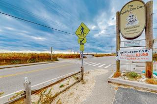 The Jib & The Genoa - 6