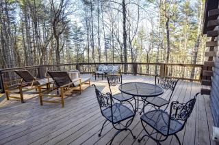 Piney Mountain Perch - Mineral Bluff - 9