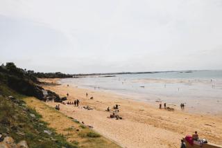 La petite hermine - 1