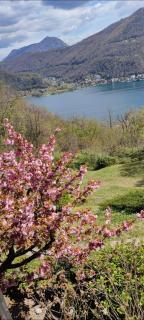 La Finestra sul Lago - Brusimpiano - 9