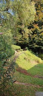 La Finestra sul Lago - Brusimpiano - 1