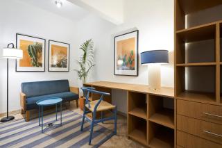 Amazinn Mexico Condesa - 8