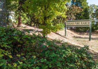 Inn at Sugar Pine Ranch - Groveland - 3