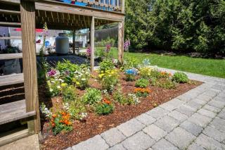 Inca Gardens Apt. New To Market - Lg Patio - Pets - Oak Bluffs - 3