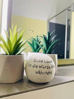 FeWo 20 - Appartement im Rottalblick - YoungModern wohnen, Tiere willkommen, Bademantelgang zur Therme, TV und Balkon - 5