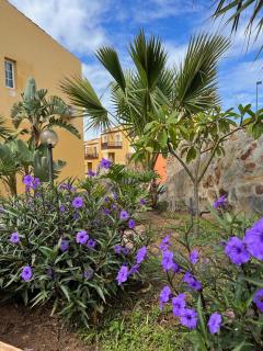 Aloha Apartman Arguineguin - Arguineguín - 6