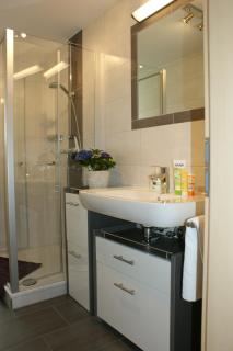 Ferienwohnungen Hollerberg Wohnung 1 - Regen - 4