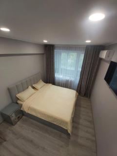 Светлые апартаменты Афины - Almaty - 7