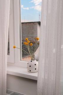 White apartment - Sombor - 6