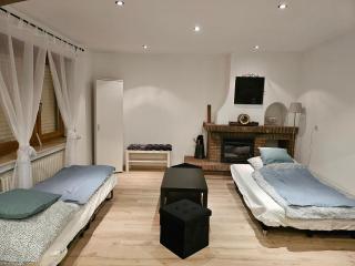 T&G WirthHaus - Bad Rappenau - 3