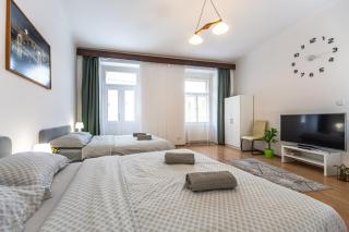 Wenceslas Square 2 Bedroom Apartment - Prague - 6