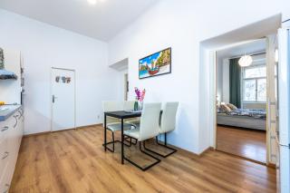 Wenceslas Square 2 Bedroom Apartment - Prague - 4