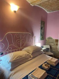 B&B Happiness in the Country - Brescello - 8
