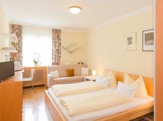 Landhaus Tritscher - Schladming - 9