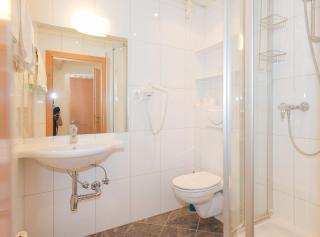 Landhaus Tritscher - Schladming - 8