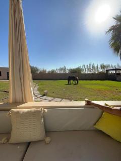 Villa noor - Marrakech - 6