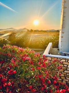 Paros Home - Kampos Paros - 4