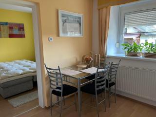 Apartma Movrin - Kamnica - 4