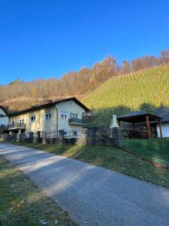 Apartma Movrin - Kamnica - 9