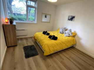 Spacious 2 bedroom in Central Hoxton - Londra - 6