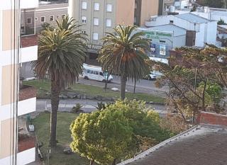 Atlántico Peatonal - Necochea - 4