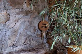 Refugio de Ángeles - 7