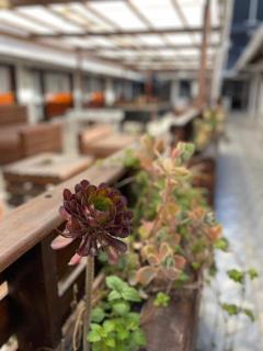 Hostel de la Plaza - 4