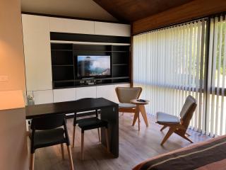 COIHUE, Moderno Monoambiente - 8