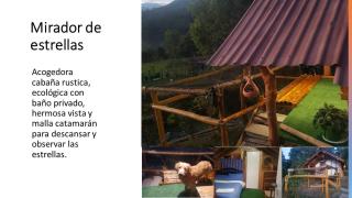 El Refugio del Oso de Anteojos - Fómeque - 2