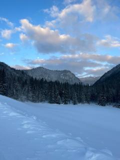 Gut Schablberg - Radstadt - 2