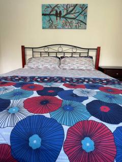 3 BDR house close to train station, airport & City - 0