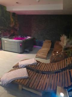 Relax pension Schonwald - Budišov nad Budišovkou - 7