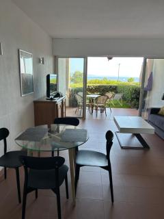 Apt. T1 Superbe vue Mer - Ajaccio - 5