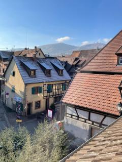 Chambre Rose des Vents - Eguisheim - 8
