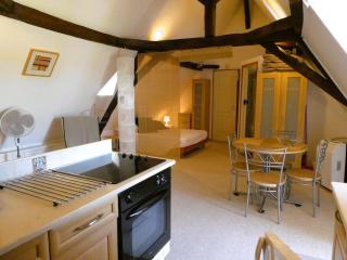 La Gentilhommière SPA et piscine privée - Bourniquel - 1