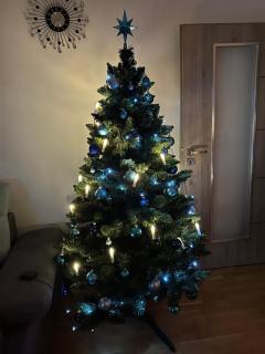 Apartmán Jitka - Slunečná louka - Černý Důl - 9