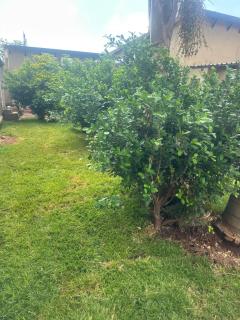 Sweet Nice Guest House - Ga-Rankuwa - 9
