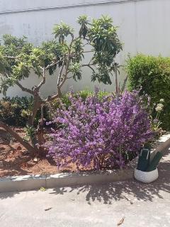 A casa di nonna Vituccia - Neviano - 9